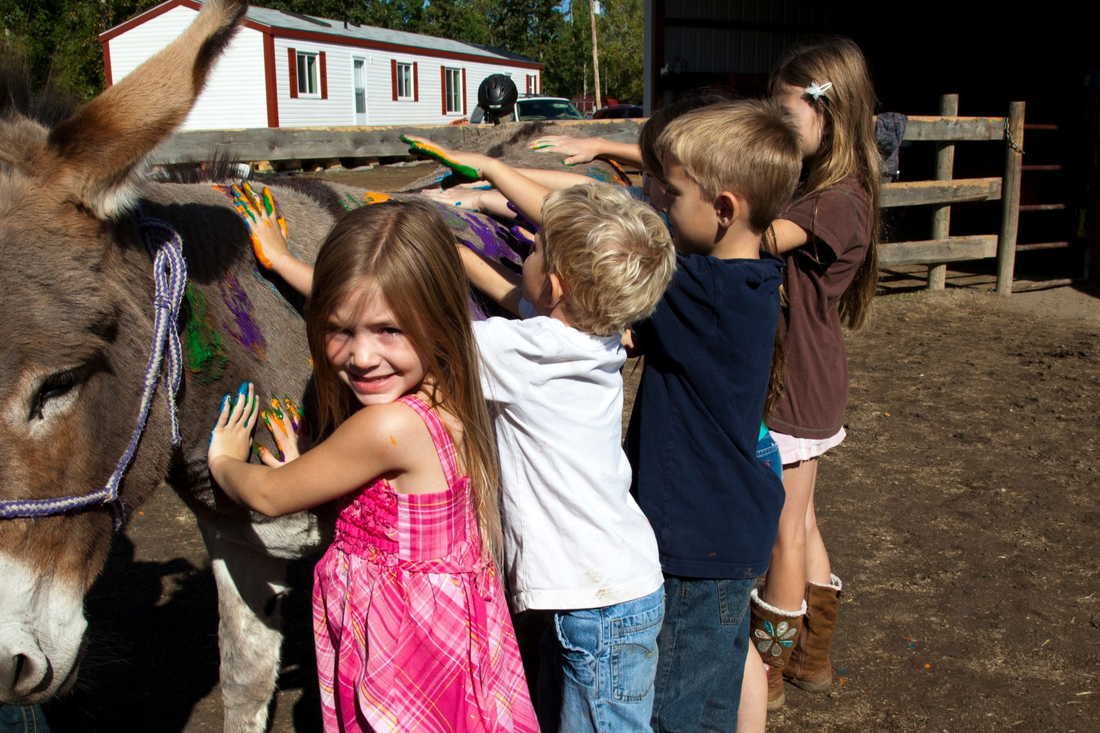 Picture of kids petting a donkey